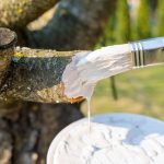 محافظ تنه درختی شهری